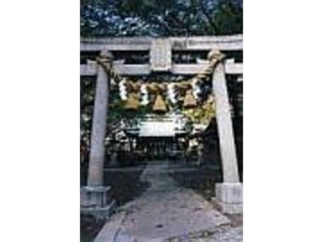 どっしりとした鳥居の奥には本殿がたたずむ_清瀧神社