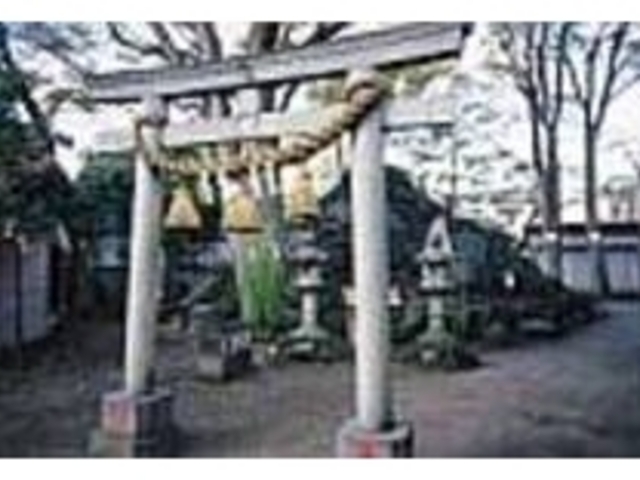境内でひときわ幻想的な雰囲気の富士塚_清瀧神社
