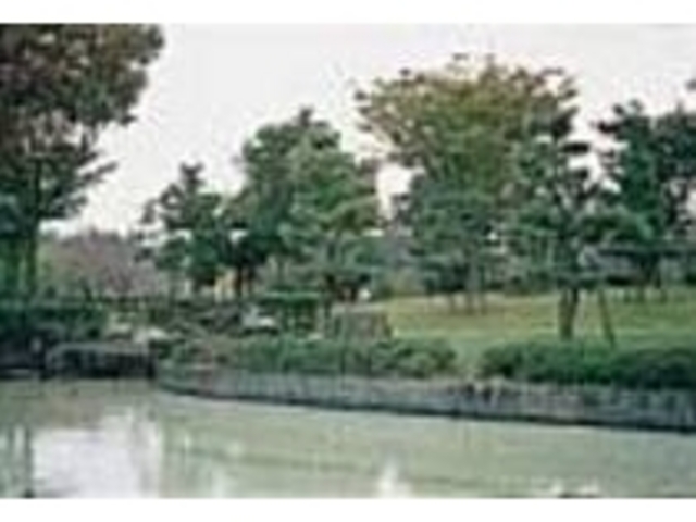 地下水を利用の川と手入れの行き届いた木々_百目木公園