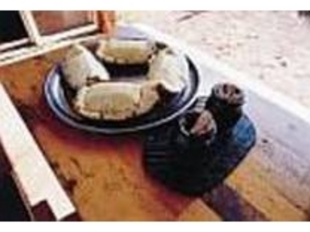 パイン1個分でも、これだけのボリューム_赤嶺パイン園
