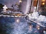 湯村ホテル B&Bの写真2