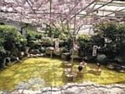 いで湯の宿丸神屋の写真1