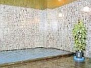 生粋の源泉宿 大観荘(だいかんそう)の写真1