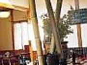 甲州直治朗の写真2