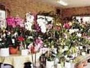 ハタグリーンファームの写真1