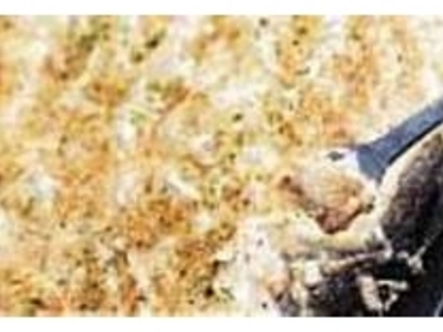 もちも入っているので食感もグッド!_木村屋本店