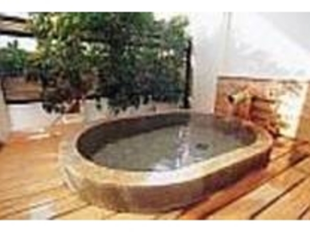 一枚岩で造った露天のくりぬき風呂_大藪区共同浴場 弁天の湯