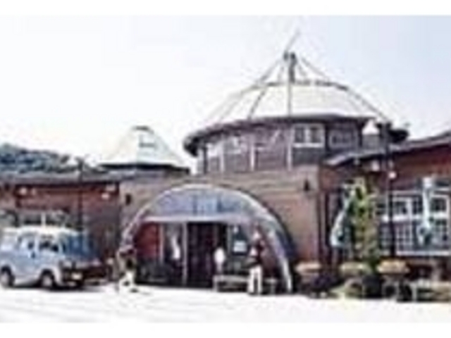 みなまた観光物産館まつぼっくりで販売_サラダたまねぎ