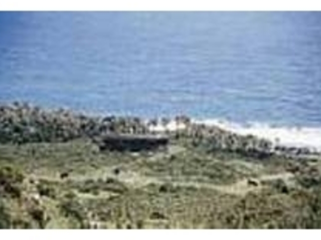 牛やトカラ山羊がのんびり草をはむノンゼ岬_ノンゼ岬・悪石島灯台