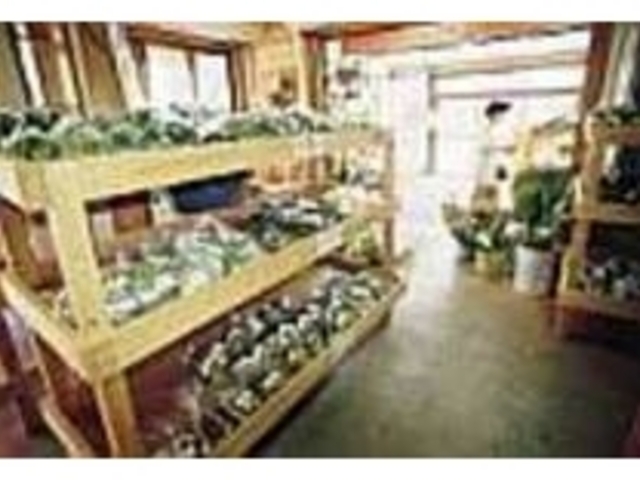 季節の野菜や果物が安い値段で手に入る_長崎街道みかん宿