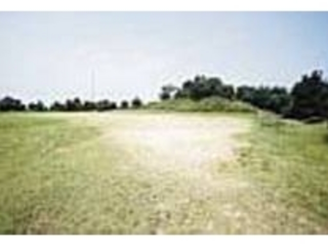 ピクニックなどが楽しめる広場もある_琴ノ尾公園展望台