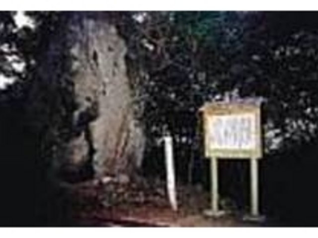 説明の書いた看板もあるので分かりやすい_フェーレー岩