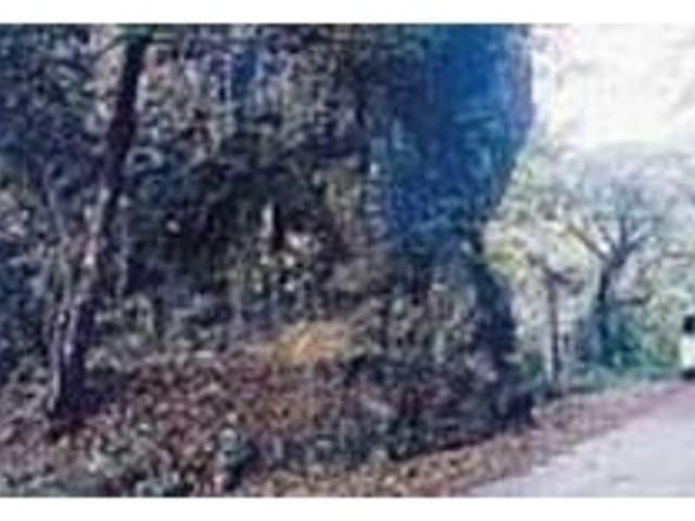 当時はこの岩の上に山賊が隠んでいたのだ_フェーレー岩