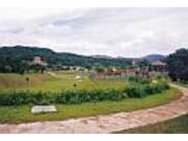 すべり台などの子供の楽しめる遊具も多い_沖縄県県民の森