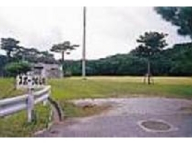 天然の草の上でするスポーツは最高_沖縄県県民の森