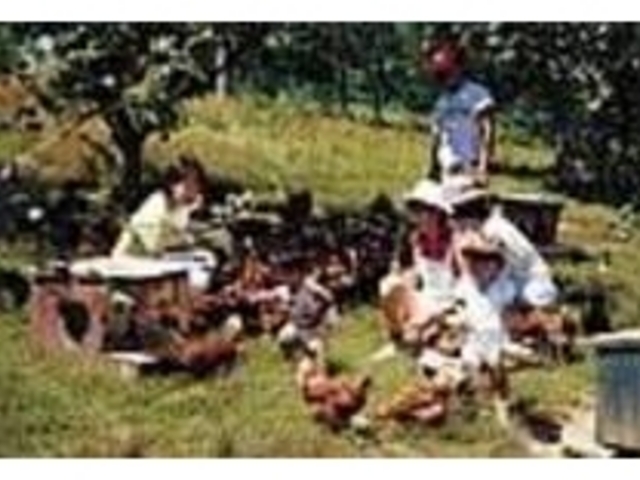 ほんわかあったかい卵。割らないように_バイオ・テクニカル農園