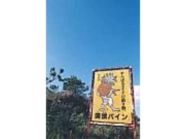 どことなく愛嬌のある看板を目指しにして_パイナップル畑