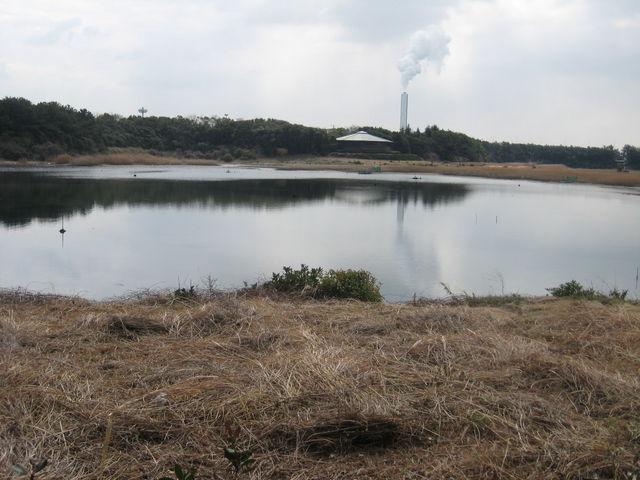 野鳥園臨港緑地