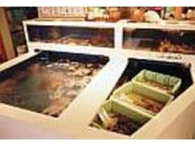 生け簀の中では獲れたての魚介類が_海鮮料理 美加茂