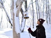 サンデープラニングLAMPの写真3