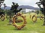 鹿児島県霧島アートの森の写真2