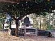 さざなみの塔の写真2