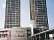 堺市立文化館 与謝野晶子文芸館 アルフォンス・ミュシャ館の写真2