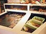 海鮮料理 美加茂の写真2