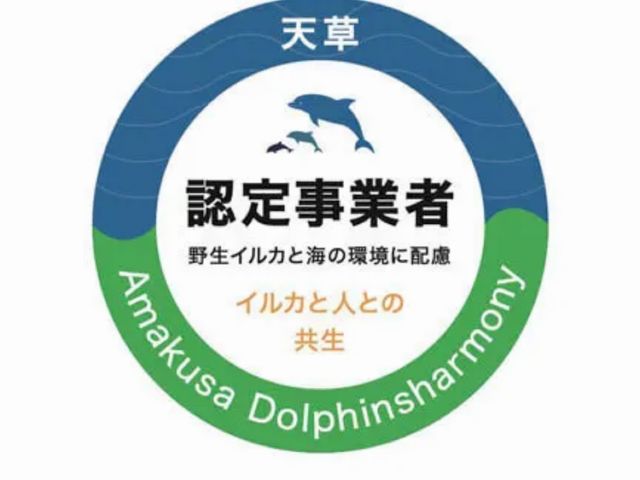 天草観光イルカウォッチング ドルフィンクルーズ
