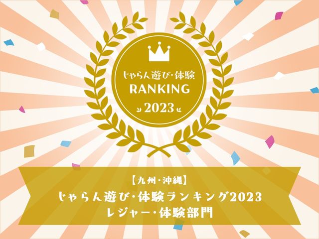 天草観光イルカウォッチング ドルフィンクルーズ