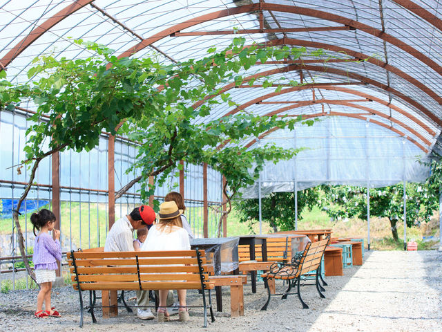 観光農園吉次園