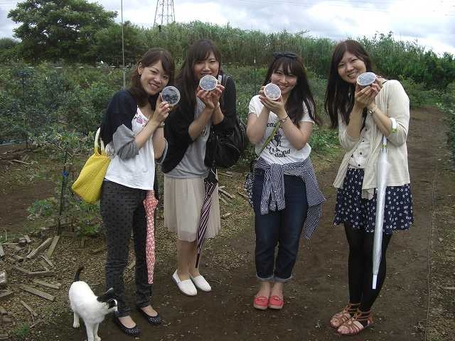 女子会・ファミリー・カップルとさまざまな方々にお越し頂いております!_真行寺ブルーベリー園