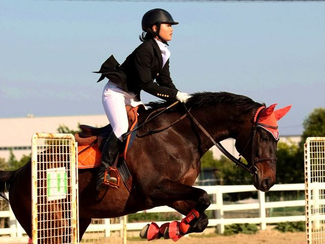 乗馬には競技があり、上達していくと、写真の様な<障害馬術>にもチャレンジ出来るようになります。_ARC空港乗馬倶楽部
