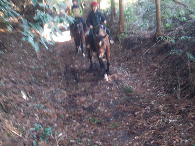 WEST ROAD RANCH