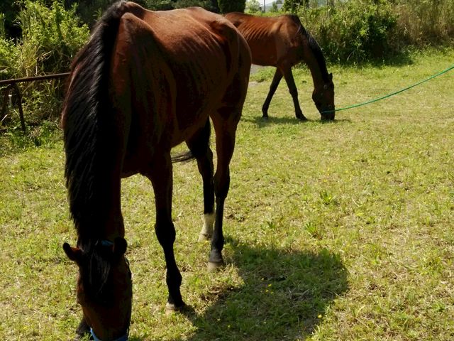 WEST ROAD RANCH