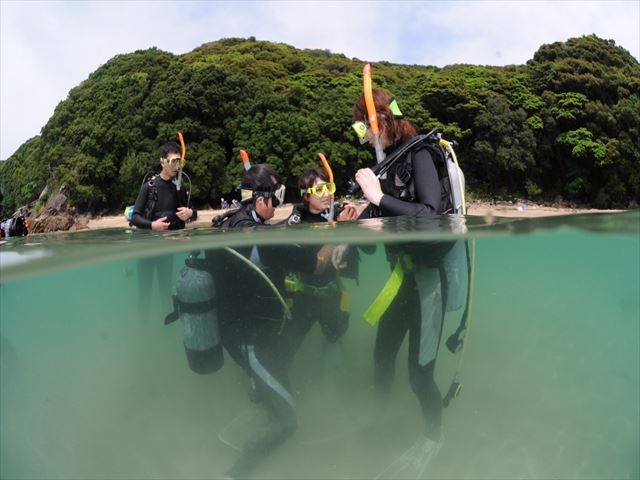 竜串ダイビングセンター