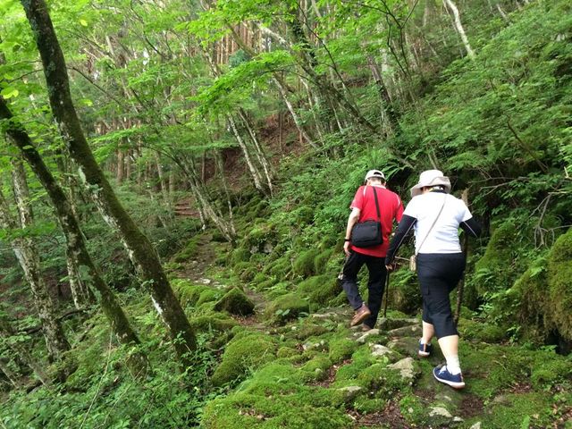 森林セラピー_美杉リゾート INAKA TOURISM