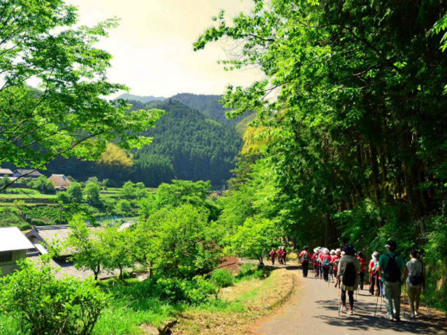 森林セラピー_美杉リゾート INAKA TOURISM