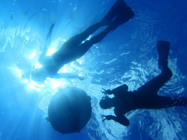 青い海でのスノーケル!初心者でも楽しめます♪_クロノス オーシャン フィールド