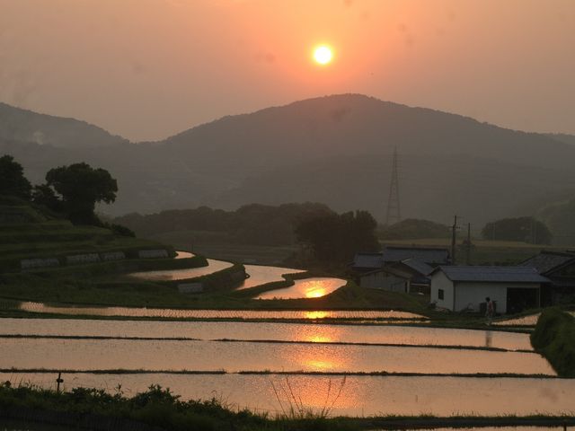 美しい棚田_そばカフェ生田村