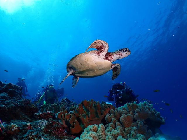 各エリアツアー開催中です。_DiveAward津田沼駅前本店