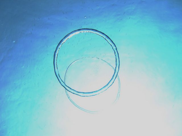 綺麗なリングを作ってみたり_青の洞窟 Dive きよら