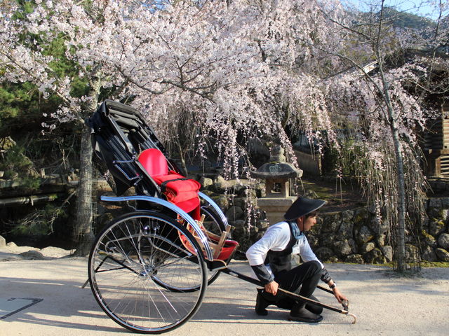 人力車えびす屋宮島