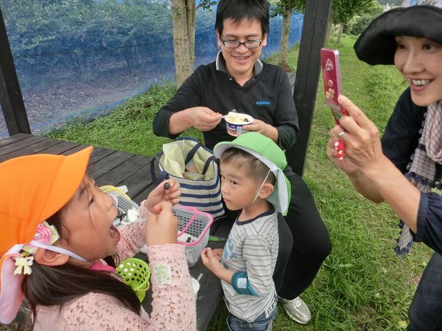 ヨーグルトに入れて楽しむのもOK!_西条ブルーベリー農園