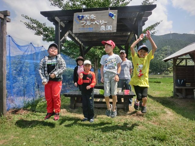 夏は思いっきり外でエンジョイ!_西条ブルーベリー農園