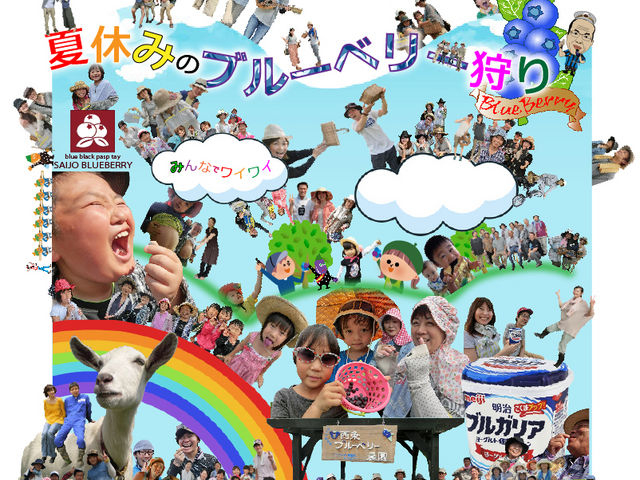 夏休みのブルーベリー狩り!_西条ブルーベリー農園