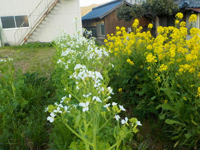 田舎でのんびり_工房銀