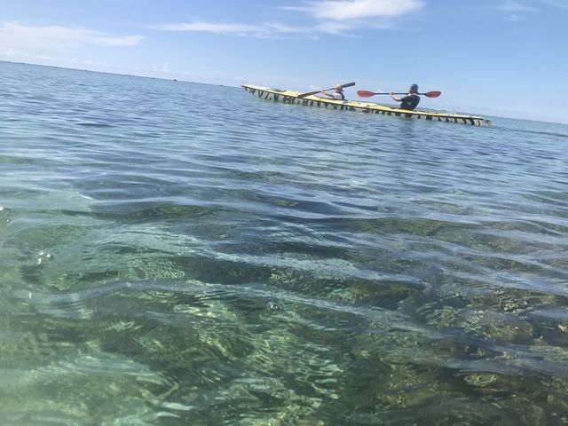 シーカヤックでやんばるの海岸線をパドリングする。_テラワークス