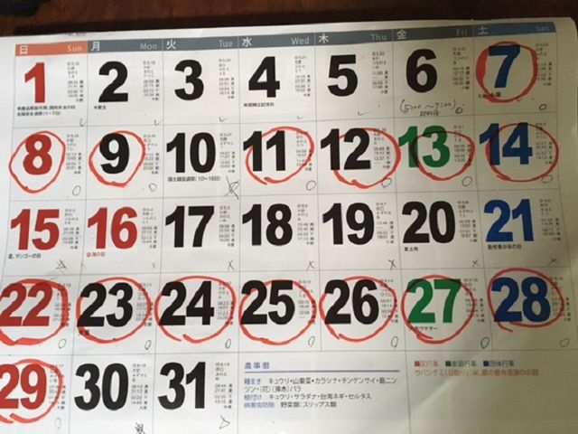 7月の開催日赤丸の日です。_テラワークス