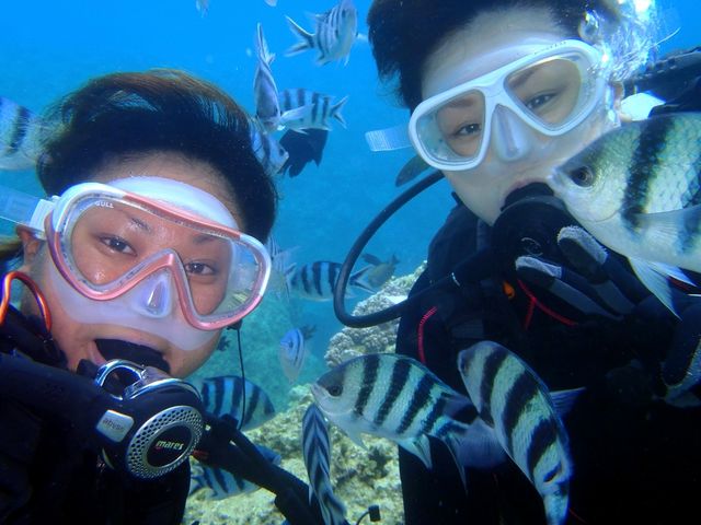 水中での記念撮影もok!カメラレンタルもございます。_ピナクルマリン
